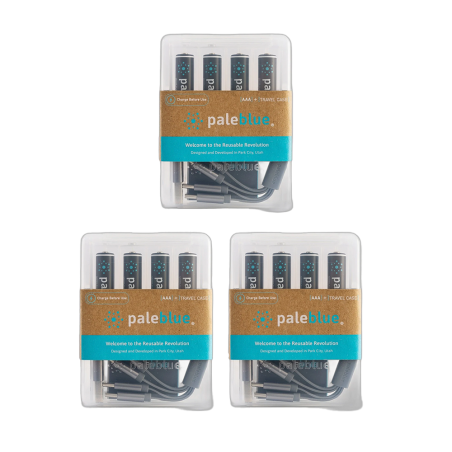 Pack de 12 Piles rechargeables USB AAA / LR03 TYPE C