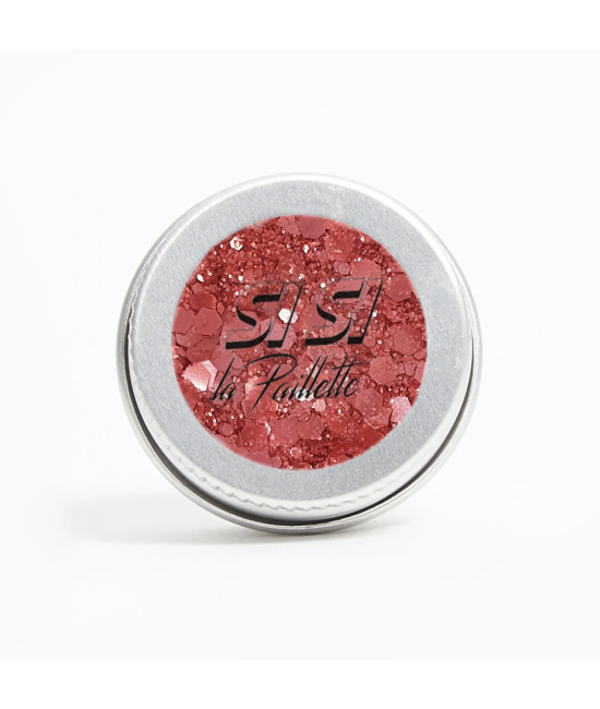 PAILLETTES BIODEGRADABLES GRAVÉ DANS LA BRIQUE POT 05ML