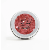 PAILLETTES BIODEGRADABLES GRAVÉ DANS LA BRIQUE POT 05ML PAILLETTES BIODEGRADABLES GRAVÉ DANS LA BRIQUE POT 05ML