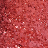 PAILLETTES BIODEGRADABLES GRAVÉ DANS LA BRIQUE POT 05ML PAILLETTES BIODEGRADABLES GRAVÉ DANS LA BRIQUE POT 05ML