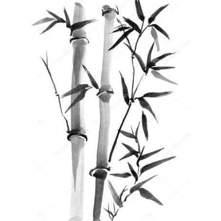 Charbon végétal français de bambou