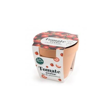 Pot Terre cuite Antique - Tomate cerise - Bio