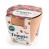 Pot Terre cuite Antique - Tomate cerise - Bio