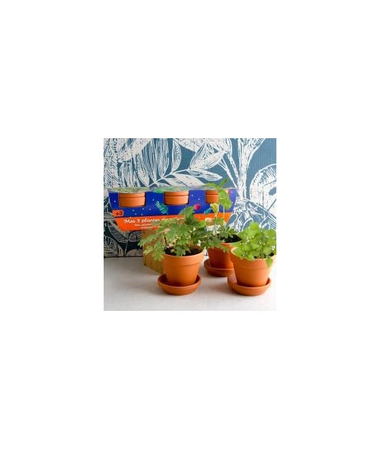 Trio 3 pots plantes magiques