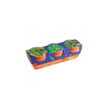 Trio 3 pots plantes magiques