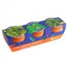 Trio 3 pots plantes magiques