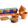 Trio 3 pots plantes magiques