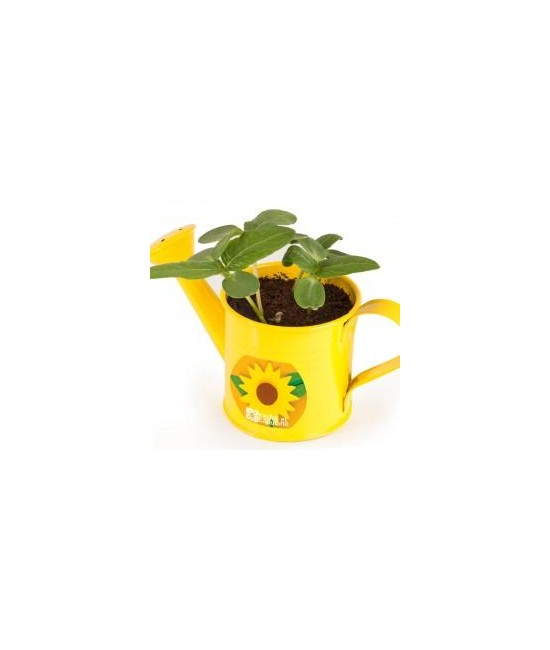 Arrosoir vert 9cm - Tournesol jaune - Bio