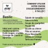 Crayons singulier Crayons singulier