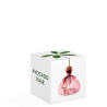 Avocado Vase - Rose Pink - Rose clair