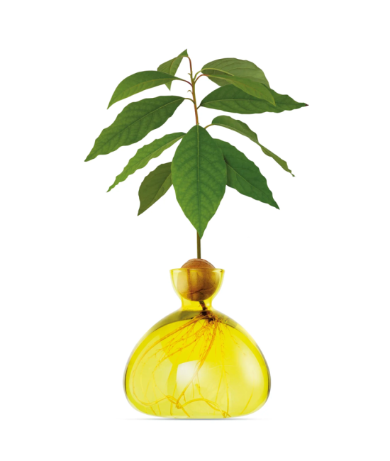 Avocado Vase - Sunlight Yellow - Jaune