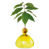 Avocado Vase - Sunlight Yellow - Jaune