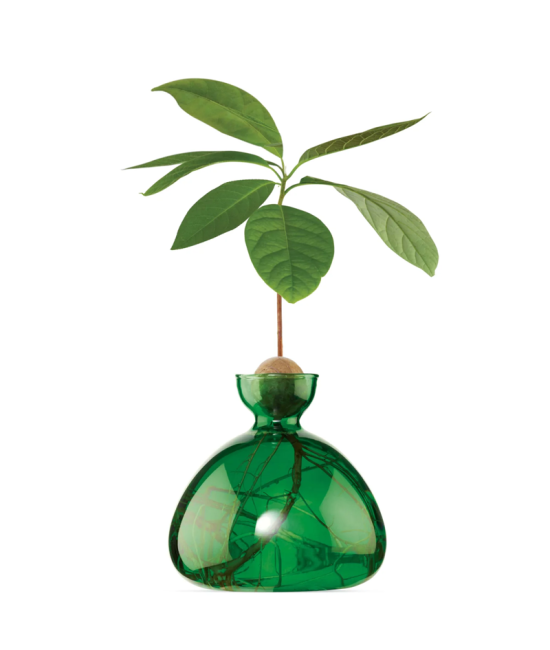 Avocado Vase - Emerald Green - vert foncé