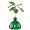 Avocado Vase - Emerald Green - vert foncé