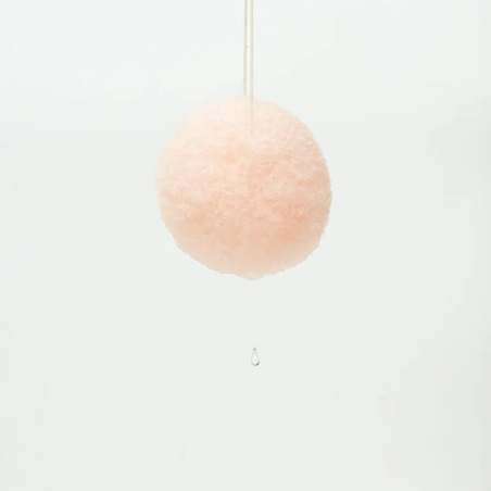 Eponge nettoyante Konjac BIO au Sakura