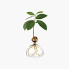 Avocado Vase - transparent Avocado Vase - transparent