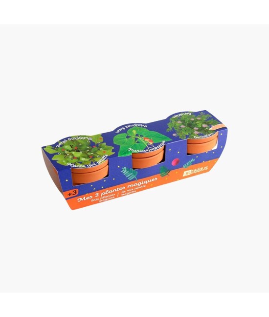 Trio 3 pots plantes magiques