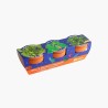 Trio 3 pots plantes magiques Trio 3 pots plantes magiques