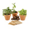 Trio 3 pots plantes magiques Trio 3 pots plantes magiques