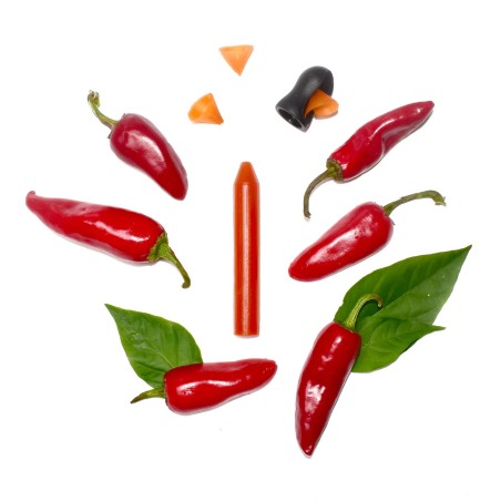 Coffret d'Assaisonnement à tailler BIO - 1 crayon Piment