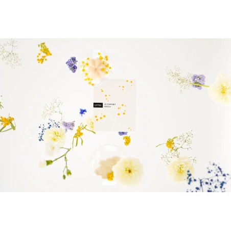 Coffret mimosa 185gr