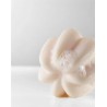 Shampoing doux 100gr