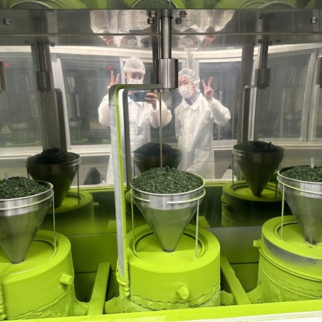 Thé matcha premium bio du Japon 30g