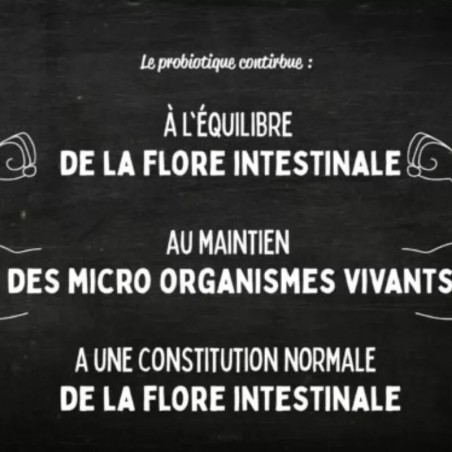 Probiotique Naturel