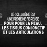 Collagène végétarien