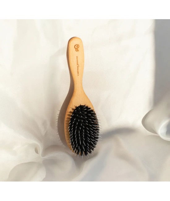 Brosse Pneumatique Picots Nylon Grand Format
