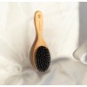 Brosse Pneumatique Picots Nylon Grand Format