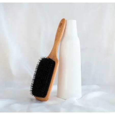 Brosse Pneumatique Picots Nylon Paddle