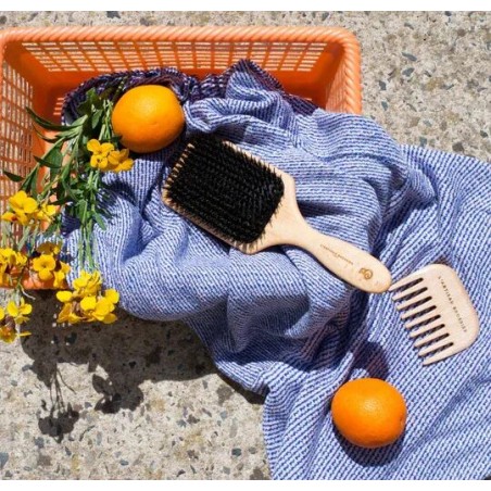 Brosse Pneumatique Picots Nylon Paddle