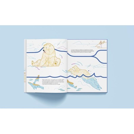 Livre "Suis du doigt l'ours polaire"