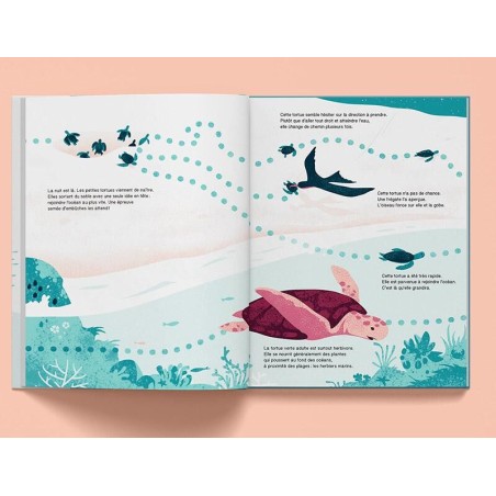 Livre "Suis du doigt la tortue de mer"