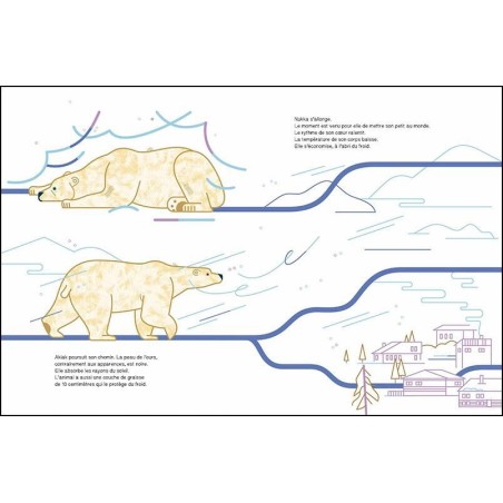 Livre "Suis du doigt l'ours polaire"