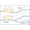 Livre "Suis du doigt l'ours polaire"