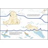Livre "Suis du doigt l'ours polaire"