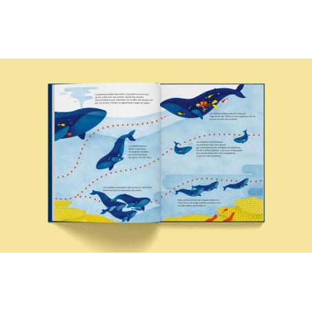 Livre "Suis du doigt la baleine"