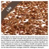 Bouillotte de lin La Seule et Unique Bouillotte de lin La Seule et Unique