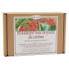 Bouillotte de cerises Classique Bouillotte de cerises Classique