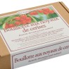 Bouillotte de cerises Classique Bouillotte de cerises Classique