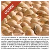 Bouillotte de cerises Classique Bouillotte de cerises Classique