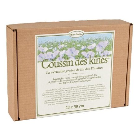 Coussin des kinés au lin