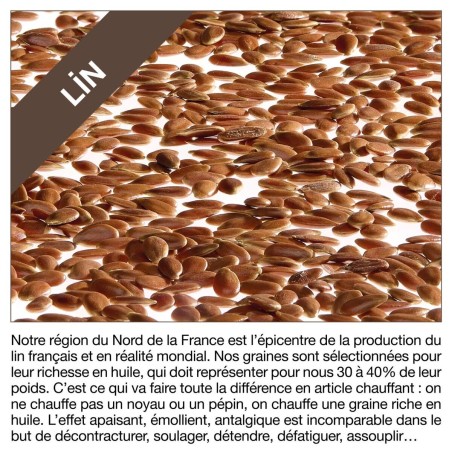 Coussin des kinés au lin