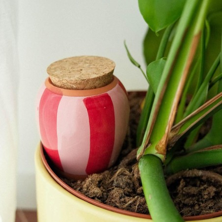 Olla hydratante rayé rose et rouge