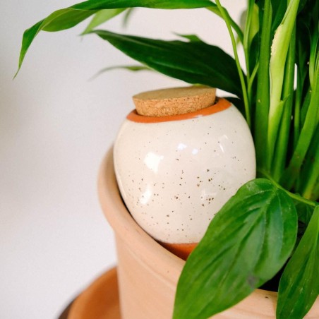 Olla hydratante blanc grainé
