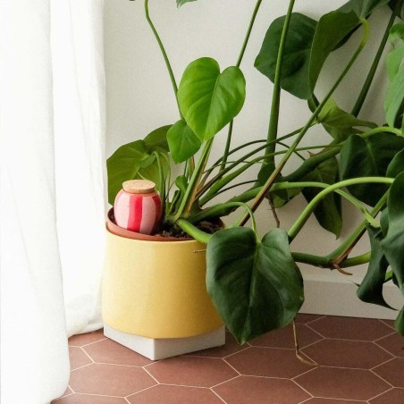 Olla hydratante rayé rose et rouge