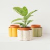 Pot autonome Paulita (S) Pot autonome Paulita (S)