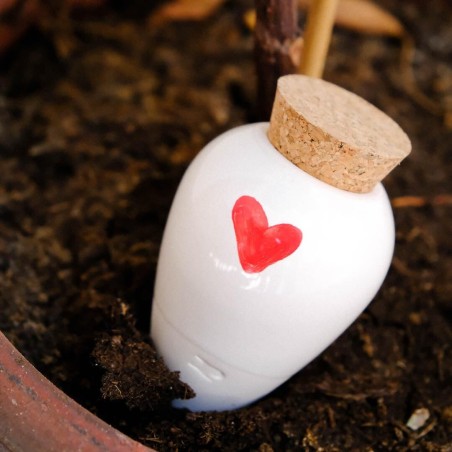 Olla hydratante Coeur